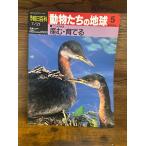 週刊朝日百科　動物たちの地球　5　産む・育てる