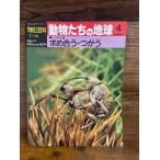 週刊朝日百科　動物たちの地球　4　求め合う・つがう