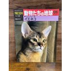 週刊朝日百科　動物たちの地球 126　イエネコ