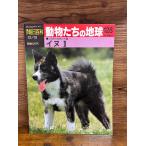 週刊朝日百科　動物たちの地球 128　イヌ2