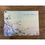  фильм проспект eten... person .