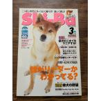 Shi-Basi-ba2007 год 3 месяц .. Leader ......?