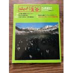  гора ...1982/5 это весна, осталось снег. Alps .