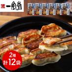 一風堂＆博多八助 監修 ひとくち餃子セット 2種計12袋/ 博多名物 福岡名物 ラーメン屋 ギョウザ ギョーザ ぎょうざ