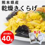  производство прямой почтовая доставка Kumamoto префектура производство сухой иудино ухо отверстие 20g×2 пакет комплект итого 40g / бесплатная доставка почтовая доставка местного производства Япония производство 