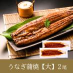 うなぎ蒲焼き 国産 鹿児島県産 大サイズ 化粧箱入 人気 鰻 贈り物 ギフト 父の日 母の日 お中元 土用丑の日 お歳暮 手土産