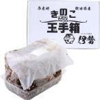 椎茸栽培キット しいたけ栽培 贈り物 説明書付き 椎茸 椎茸栽培 きのこ 茸 きのこ栽培 菌床 菌床椎茸 椎茸栽培キット 室内 本格栽培 食育 自由研究