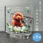  домашнее животное memorial мемориальная табличка [botanikaru цветок ] собака кошка love собака love кошка домашнее животное фотография симпатичный .. предметы для домашнего буддийского алтаря мемориальная табличка домашнее животное .. домашнее животное Roth фоторамка под рукой ..