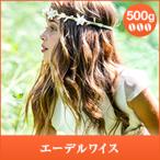 コーヒー 豆 珈琲豆 エーデルワイス 500g入袋 グルメ エーデルワイス農園 シングルオリジン シティーロースト 中深煎り 【RDT】 【TSDT】
