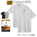 【期間限定SALE■】【クーポン対象】【メール便送料無料】GUNZE G.T.HAWKINS メンズ Vネック Tシャツ 2枚組 綿100% 天竺素材 V首 グンゼ GTホーキンス #Q1 01-