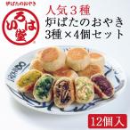 いろは堂 炉ばたのおやき 人気3種セット 計12個詰合せ(野沢菜・ねぎみそ・野菜ミックス 各4個)