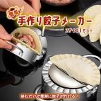 かんたん餃子メーカー 一度に2個作れる ギョーザ 餃子モールド 餃子型 包み器 餃子包み器 餃子作り ギョーザ包み器 モールド 手作り 金型 ステンレス製