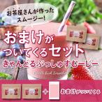 オマケ付き!ベリー スムージー2個セット 酵素 コエンザイムQ10 新発売 送料無料 キャンドルブッシュ