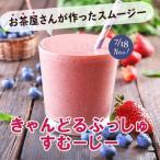 ☆セール ベリー スムージー200種以上の酵素 コエンザイムQ10 新発売きゃんどるぶっしゅすむーじー30日分