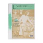 リヒトラブ ルーパーファイル F-3006 緑