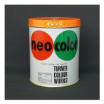  turner цвет Neo цвет 600ml B цвет orange NC60024