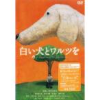  белый собака .warutsu.DVD