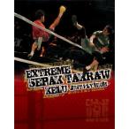 ½³ -JUST FLY HIGH- DVD