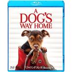 bela. one da полный * Home Blue-ray &amp;DVD комплект Blu-ray