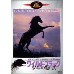  wild * черный / подросток. чёрный . лошадь DVD