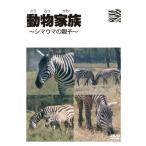  животное семья ~ Africa сборник ~ зебра DVD