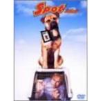  спот DVD