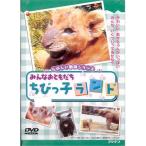  все ......... Land DVD