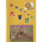 ưʪ�֤�����罸�� 1 �饤����Τʤ��ޤ��� ��󥿥����