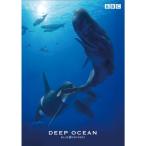BBC море . документальный * голубой * Odyssey ~ серии глубокий * Ocean DVD