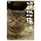 . земля кошка DVD
