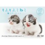 mo......~ mother z* Rav ~ DVD