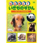 �ʤ�ۤɤ�����Τ����� ���̡����ޡ�����Τʤ��� ��󥿥����