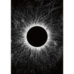 Unity for Universal Truth DVD