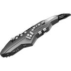 Roland/AE-05 Aerophone GO ¥¨¥¢¥í¥Õ¥©¥ó Digital Wind Instrument ¥Ç¥¸¥¿¥ë´É³Ú´ï