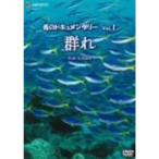  синий. документальный Vol.1 группа .-Fish School- DVD