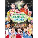 ＮＨＫおかあさんといっしょ スペシャルステージ 「ぐ~チョコランタンとゆかいな仲間たち ふしぎな森へようこそ」 DVD