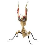 ショッピング一番くじ 一番くじ昆虫 世界の昆虫だいしゅうごう ラストワン賞 ニセハナマオウカマキリ(褐色期) フィギュア 単品