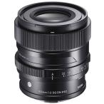 65mm F2 DG DN Leica L для 