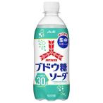 【在庫処分】賞味期限：2027年3月 アサヒ飲料 三ツ矢 ブドウ糖ソーダ 500ml　サイダー