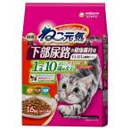 猫用ドライフード