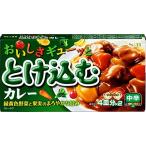 【ya】 エスビー食品 おいしさギューッととけ込むカレー 中辛 4皿分×2 (140g)
