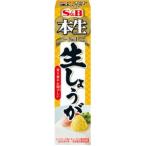 【在庫処分】 賞味期限：2026年10月31日 S&B 本生 生しょうが (40g) 調味料