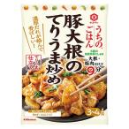 【在庫処分】 賞味期限：2027年10月31日 キッコーマン うちのごはん 豚大根のてりうま炒め (3〜4人前) 調味料