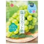 加藤製菓 塩マスカット飴 (58g) 菓子