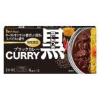 【在庫処分】 賞味期限:2026年5月31日 ハウス食品 ブラックカレー (4皿分×2) カレー