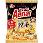 【在庫処分】 賞味期限：2026年10月 ヤマザキビスケット エアリアル 餃子味 (65g) 菓子