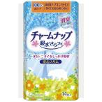 【在庫処分】 チャームナップ 吸水さらフィ 多くても安心用 (14枚入) 吸水ケア専用品