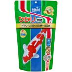 ひかり 大粒　錦鯉　