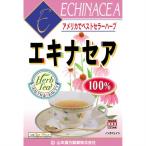 ショッピングエキナセア [A] 山本漢方 エキナセア 100％ ティーバッグ (3g×10包) ハーブティー