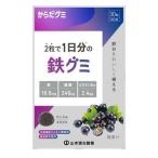 山本漢方製薬 からだグミ 鉄グミ (30粒入) グミ